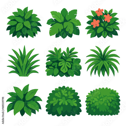 Lush exotic rainforest tropical greenery vector icon hedge bushes shrubs