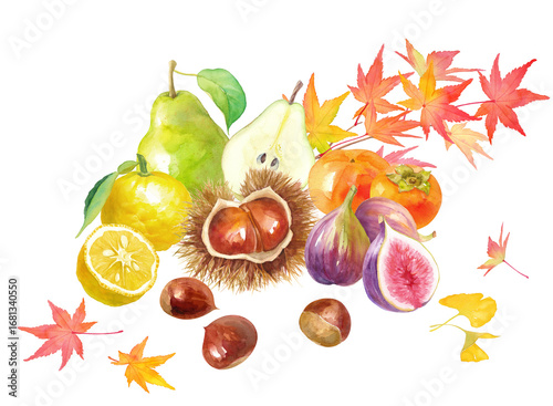 紅葉を背景にした秋冬のフルーツの集合。栗、柿、イチジク、洋梨、柚子の水彩イラスト。 