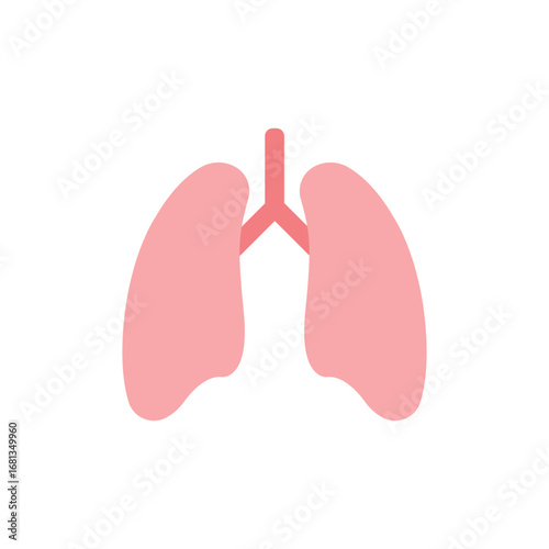 Flat illustration of human lungs in pink color. Simple medical organ icon used for healthcare, anatomy, respiration, biology, and education concepts in science, medicine, and wellness graphics.
