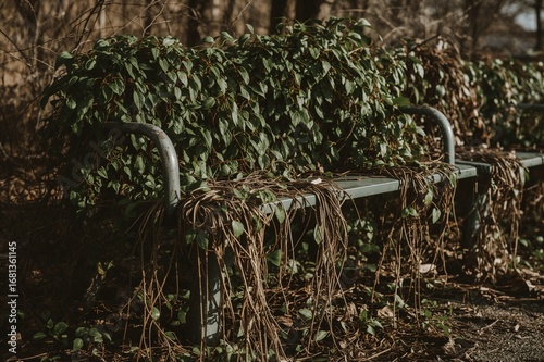 Vintage outdoor seating env...