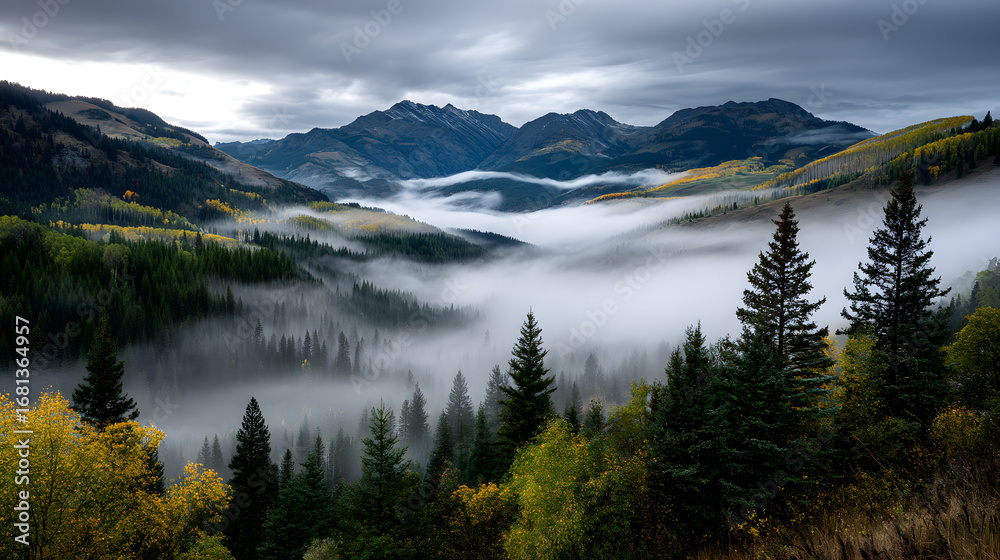 Obraz premium A misty autumn morning where golden forests glow in he early light, with fog sowly clearing over distantmountain peaks.