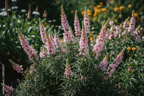 Cultivate Blooms Outdoors w...
