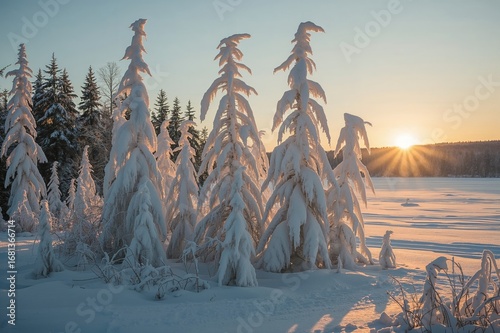 Scenic snowy scene with ice...