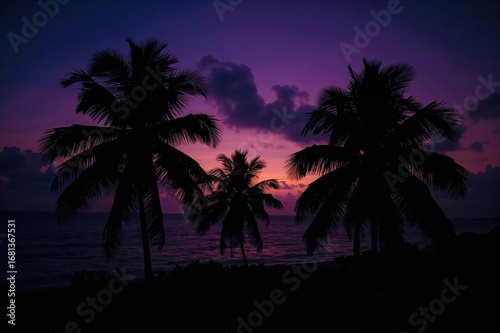 Tropical island sunset feat...