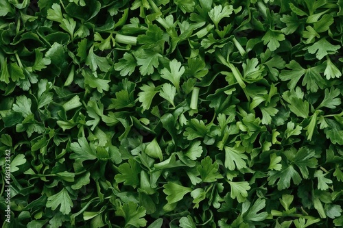 Wallpaper Mural Diced Parsley - Nutritious Greens Torontodigital.ca