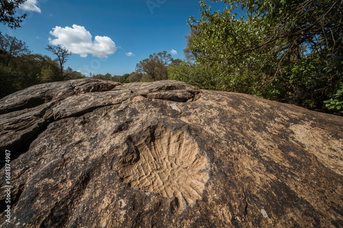 Ancient dinosaur footprints...