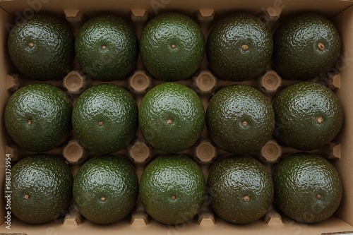 Fresh Organic Avocados Disp...