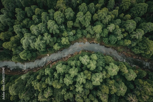 Drone footage reveals vast ...