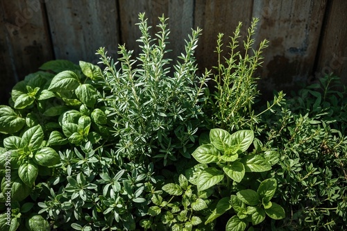 Season for potting: purchas...