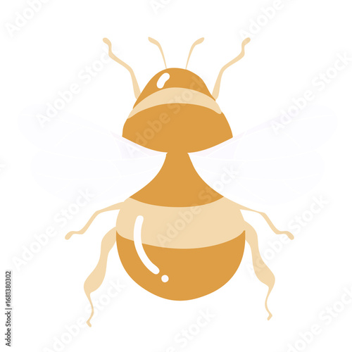 Cute Yellow Bee Vector Illustration