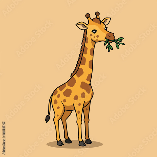 Giraffe Eats Leaves, Standing in Zoo