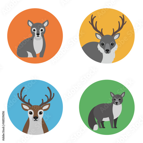 Circle Portraits Wildlife Fauna Illustration on Backgrounds of Differing Hues