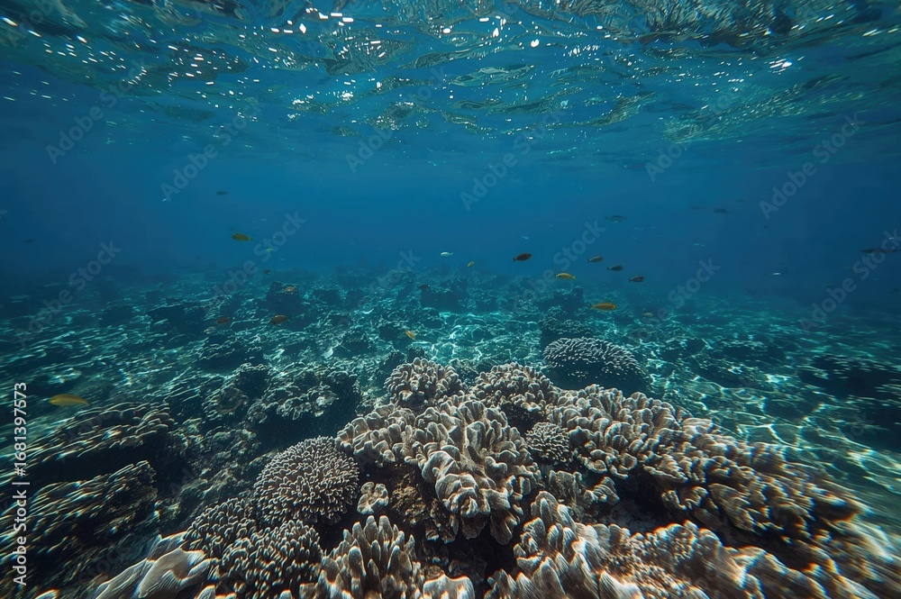 Fototapeta premium Snorkeling over vibrant coral formations and underwater lagoons