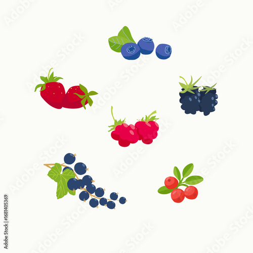 Set of hand drawn berries, flat vector illustration.