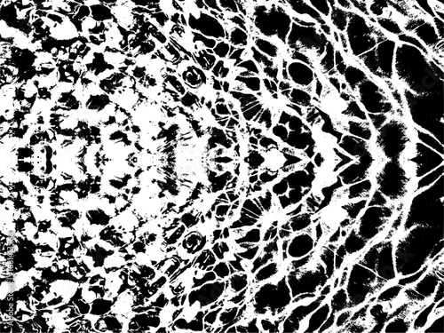 seamless leopard skin texture. transparent Realistic blue water texture PNG with natural light reflections soft ripples on the surface. Ideal for summer, pool, ocean, or aquatic-themed backgrounds
