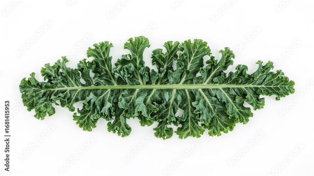 Fototapeta premium Creative arrangement of kale leaf as a vegetable salad ingredient on white.