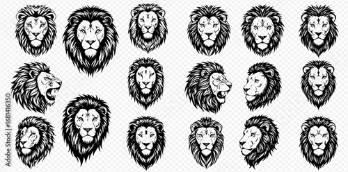 Detailed black and white illustrations of majestic lion heads showcasing various angles, expressions, and powerful roars.