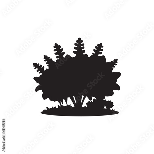 Silhouette of bushy plant