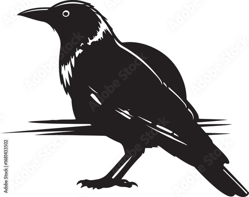 Black silhouette of a crow perched on a branch bird
