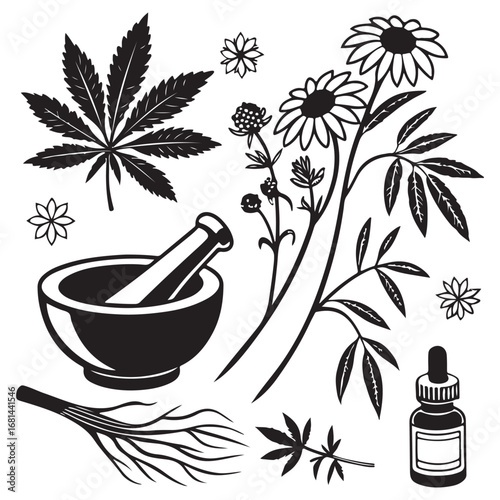 Botanical illustration of cannabis leaf chamomile flowers mortar and pestle dropper bottle and roots for herbal medicine and aromatherapy