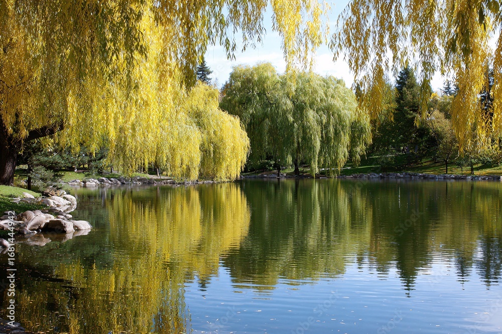 Fototapeta premium Pond surrounded by vibrant autumn trees in a tranquil park Generative AI