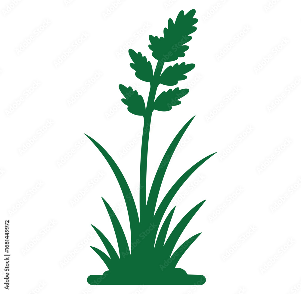 Fototapeta premium Green silhouetted illustration of grass and wheat on a white background isolated design