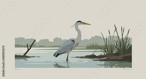 Heron Bird Standing Calmly in the Wetland Waters, Simple Flat Graphic