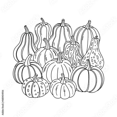 Pumpkin Harvest Line Art – Autumn Fall Season Vegetable Black and White Illustration