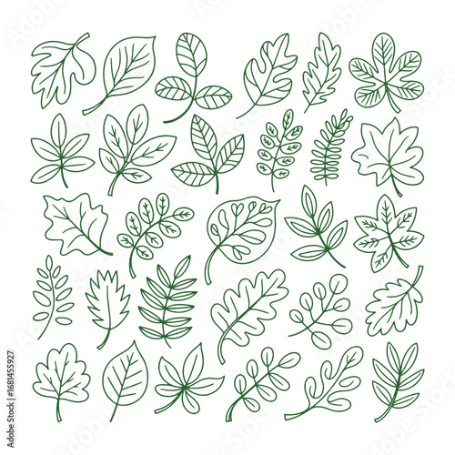 Hand Drawn Leaves Collection – Botanical Nature Line Art Vector Illustration