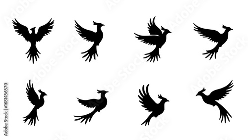 set of 8 silhouette of a phoenix bird, a symbolic representation of freedom and movement, gracefully flies across a minimalist background, the elegance of design highlighted. vector illustration