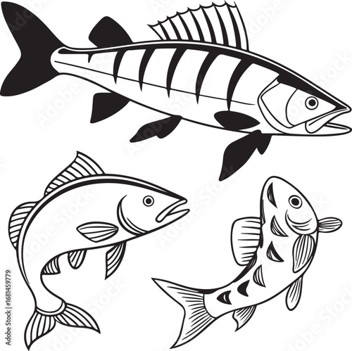Creative artwork showing freshwater wildlife and colorful species in a river environment.