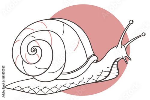 Charming minimalist snail illustration with a distinctive spiral shell