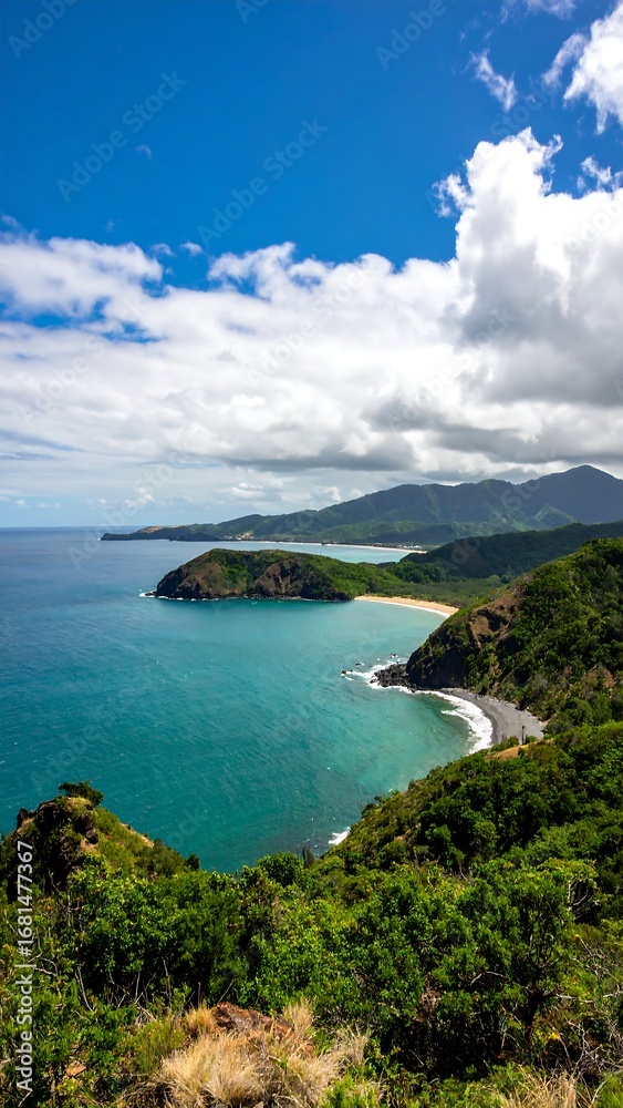 Fototapeta premium Panoramic view of coastline and ocean