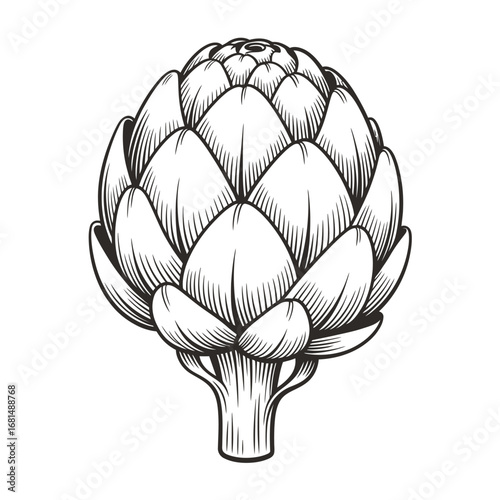 Detailed black and white sketch of a single fresh artichoke with stem