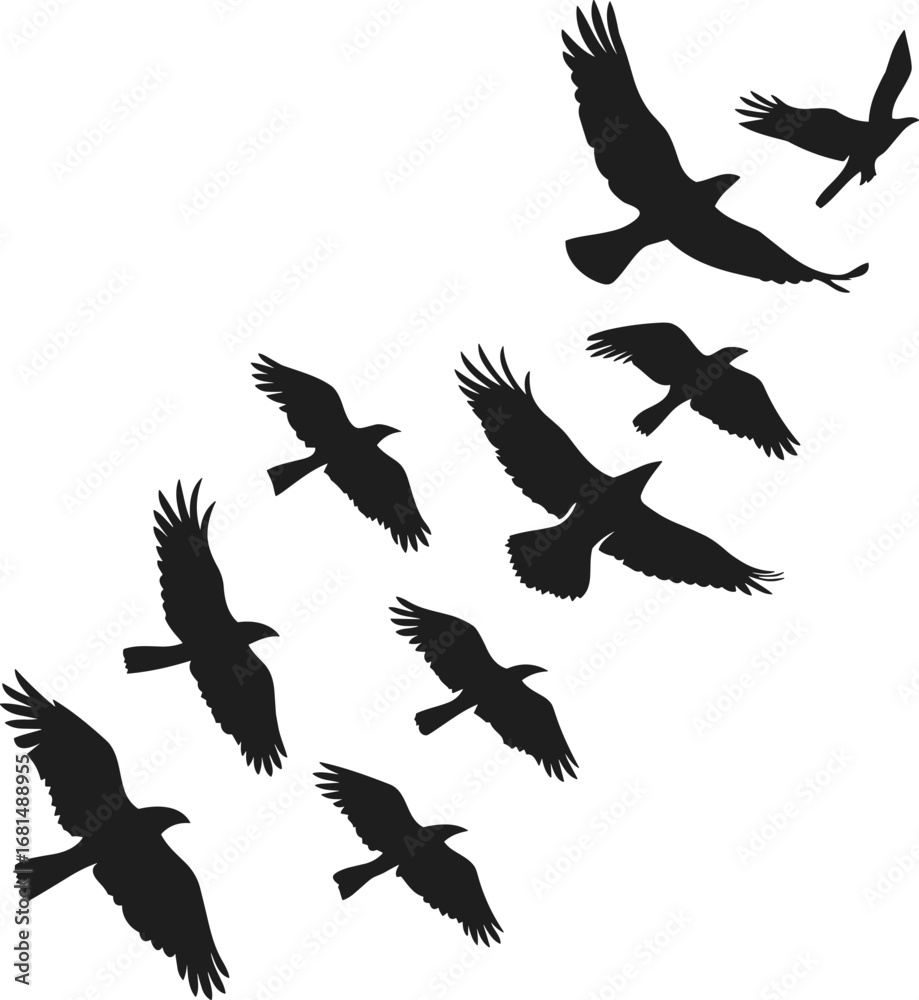 Obraz premium Silhouetted birds in flight, minimal nature art, black and white wildlife, diagonal motion, elegant avian pattern, peaceful sky composition