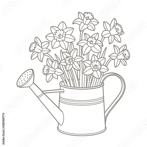 Line drawing of daffodils in a watering can