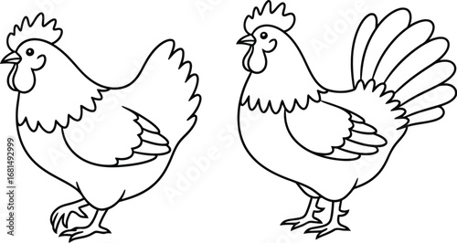 Chicken outline drawing vector illustration farm animals art
