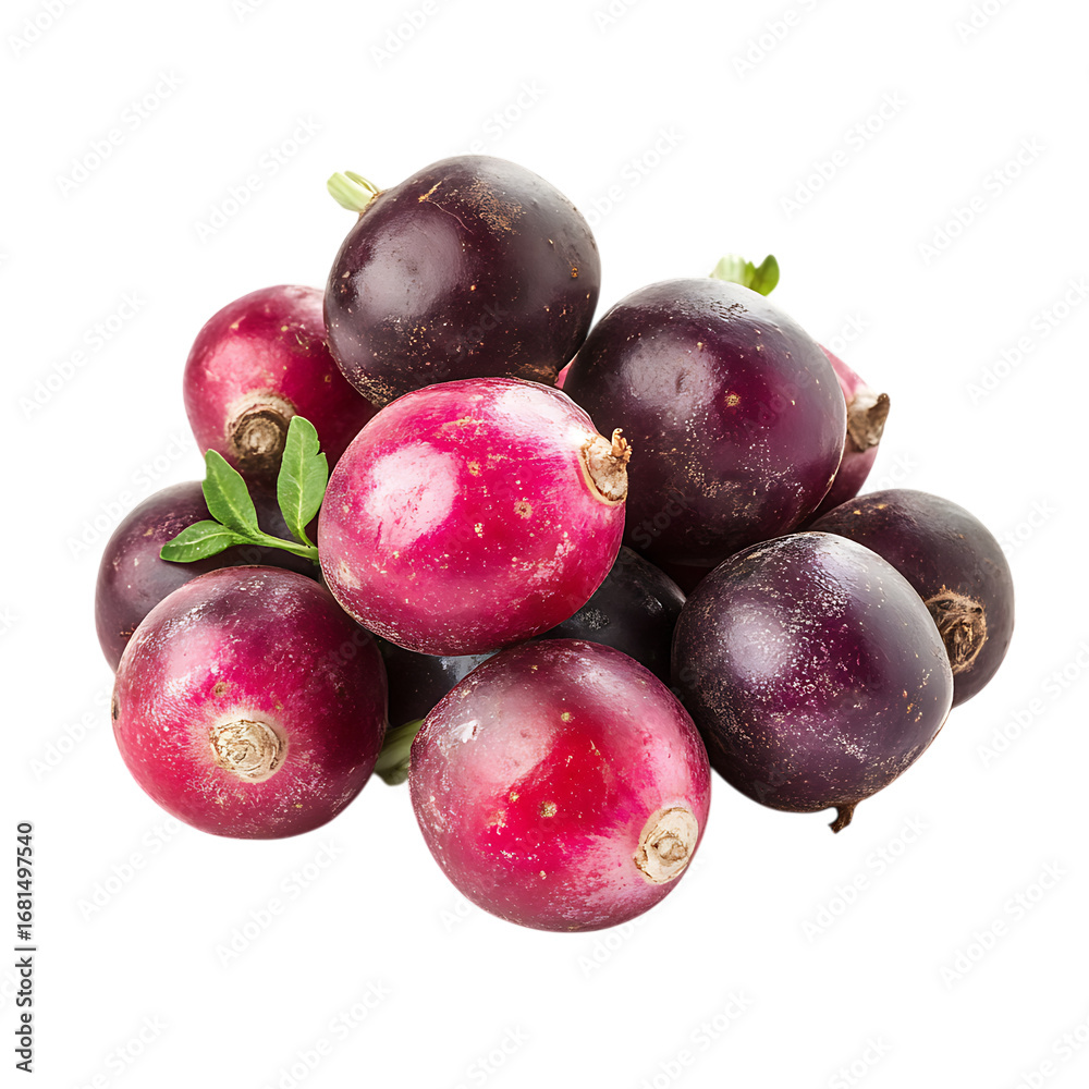 Obraz premium Radish