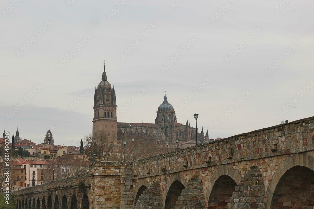 Fototapeta premium Salamanca Cathedral and Roman Bridge: A view of the Salamanca Cathedral and the Roman Bridge spanning the Tormes river, a historical landmark of the city.