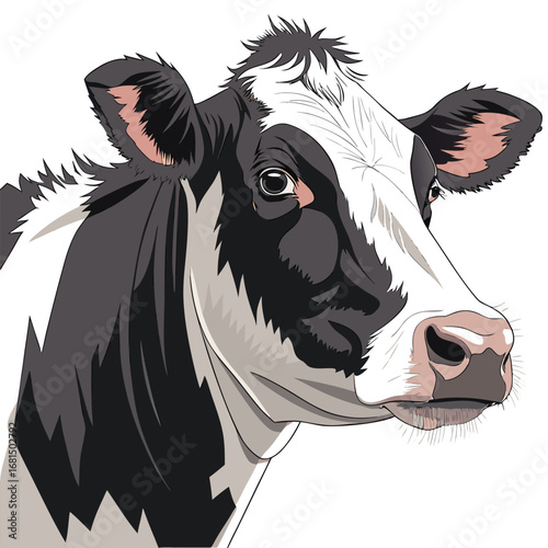Vector art of closeup portrait of a black and white holstein cow, , showcasing its distinctive markings and gentle expression