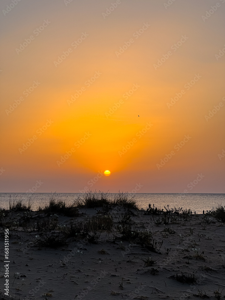 Obraz premium Sunset in the Barrosa beach in Sancti Petri, Cadiz, Spain
