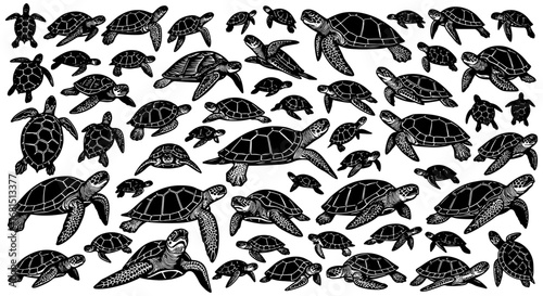 Vector art of a diverse assortment of black turtle silhouettes on a, featuring different sizes and movements