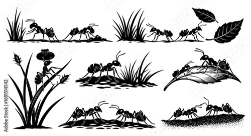 Vector art of group of ants working together in nature, carrying leaves and grass