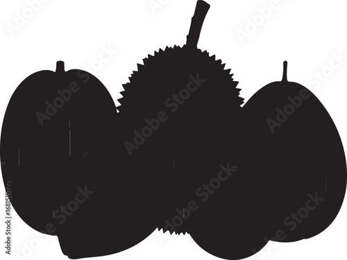 Durian and round fruits silhouette tropical fruits