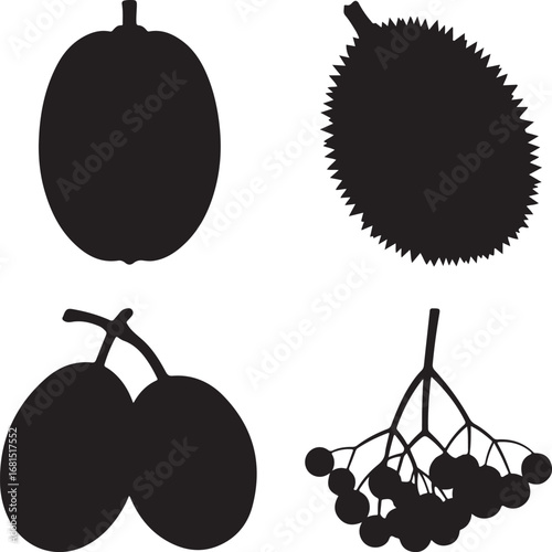 Four fruit silhouettes on white background durian olives