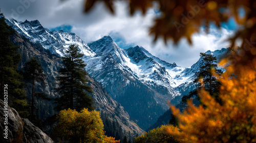 Autumn trees with golden leaves and snow-covered moutains in the background.