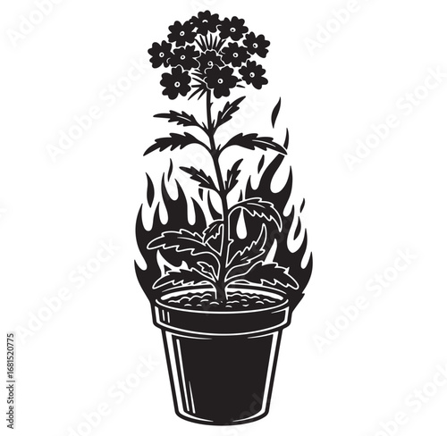 Black and white illustration of a potted plant engulfed in flames representing growth or change.
