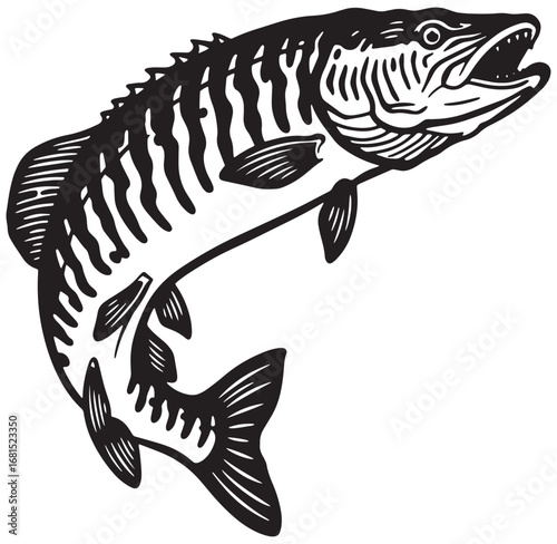 Black and white vector illustration of a northern pike fish in jumping position
