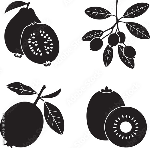 Guava kiwi berries branch leaves vector