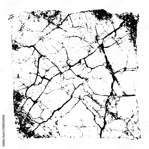 Black and white grunge texture vector design with crack pattern for abstract background and overlay effect